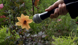 Rdv au jardin