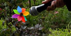Rendez nous nos jardins